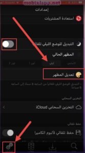 المظهر اليلي برنامج ادارة الملفات