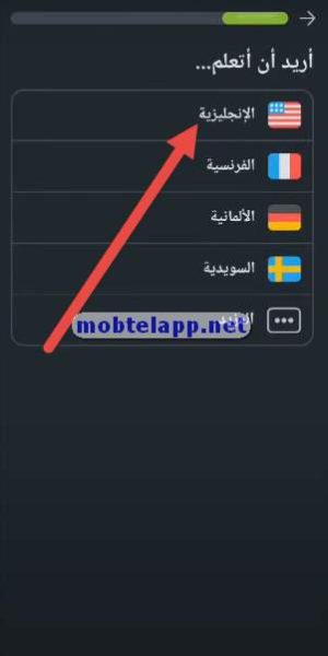 اختيار اللغة في دولينجو