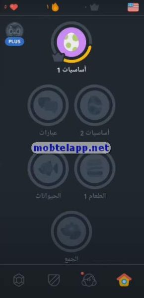 المراحل والمستويات في دولينجو 