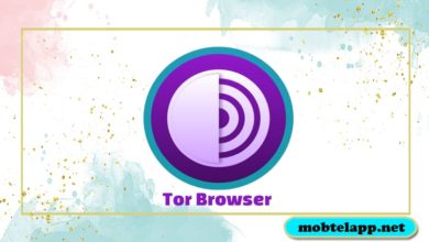 تحميل متصفح تور Tor Browser لتصفح أمن في الانترنت