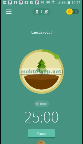 Forest Screenshot-231100