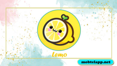 تحميل برنامج Lemo للدردشة مع تسعة اشخاص بنفس الوقت